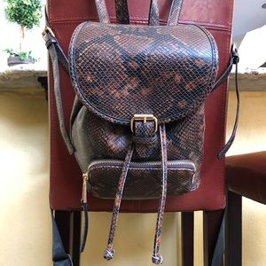 Aldo snakeskin backpack